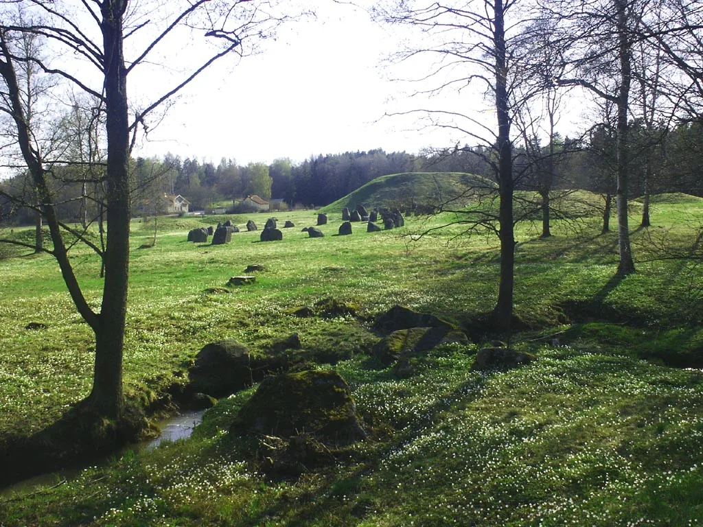 Grönt fornlämningslandskap med skeppssättning och den stora gravhögen Anundshög i bakgrunden.