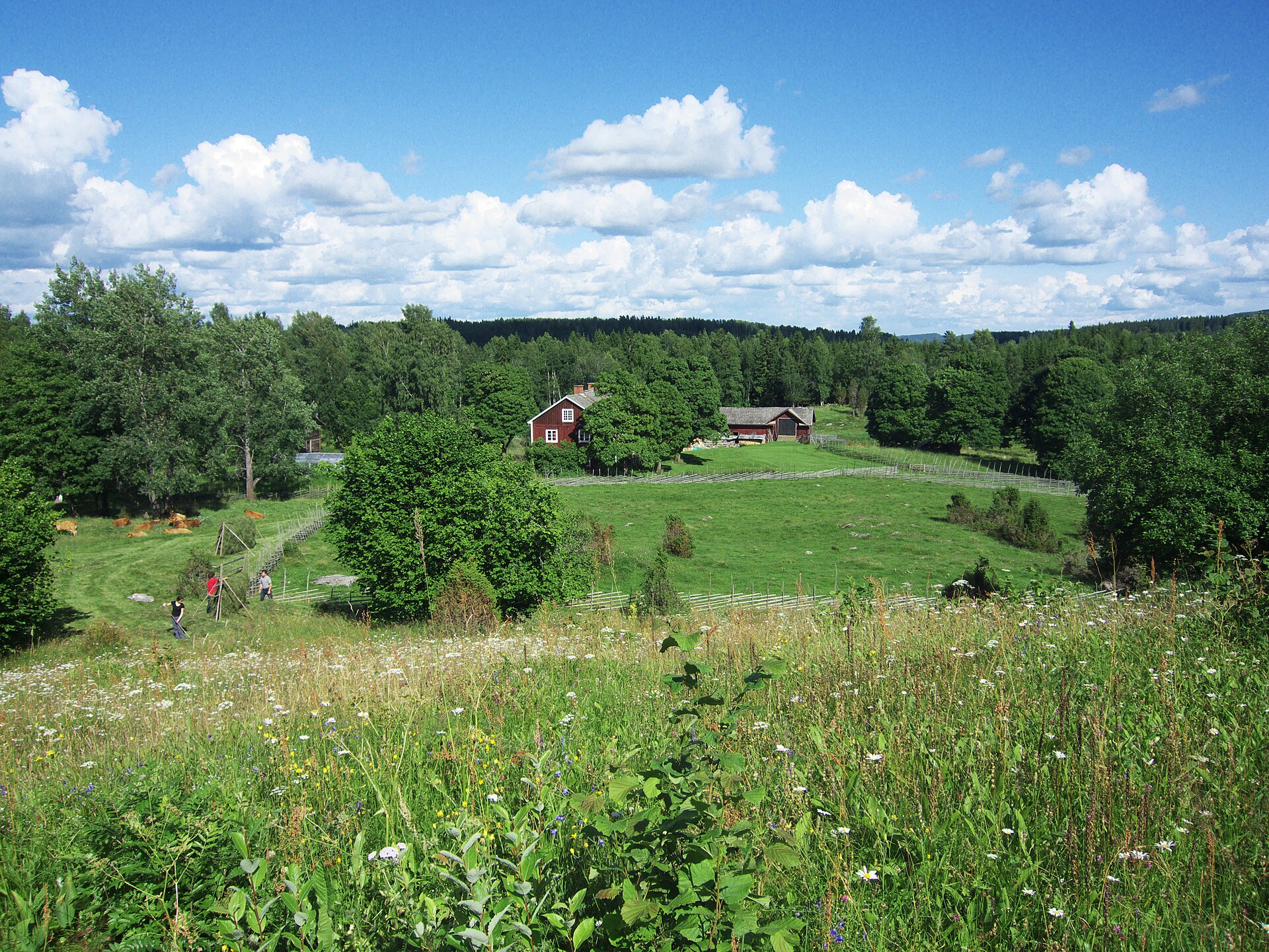 Tiskaretjärn 1, bild kopplad till Värmlands län.