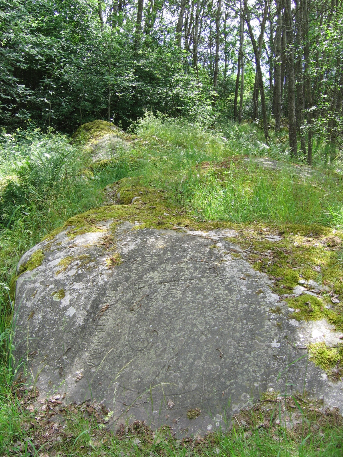 rune flats at Hargs bro, Uppland, Sweden. This is a picture of an archaeological site or a monument in Sweden, number Skånela 114:1 in the RAÄ Fornsök database. This is a picture of an archaeological site or a monument in Sweden, number Skånela 114:2 in the RAÄ Fornsök database. This is a picture of an archaeological site or a monument in Sweden, number Skånela 114:3 in the RAÄ Fornsök database.