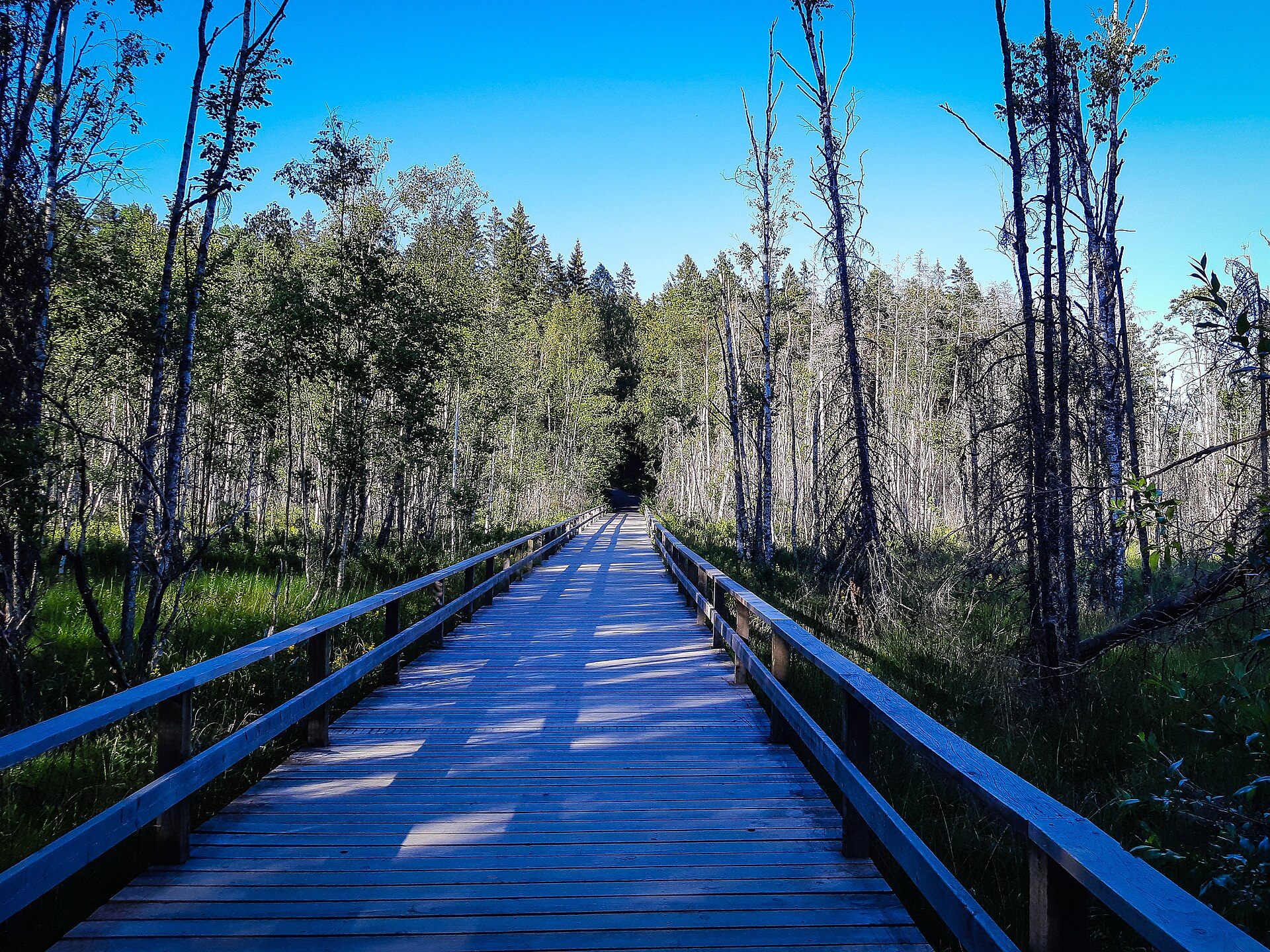 This is a photo of a protected natural area in Sweden with ID: 2001214 .